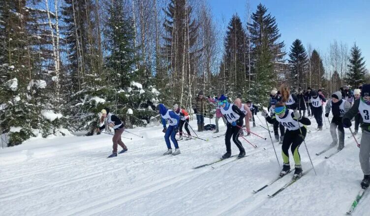 погода в вохме на 14 дней метеонова. лыжные гонки в 2022 г п. северные увалы вохма. метеонова погодный робот. Gismeteo амурзет.