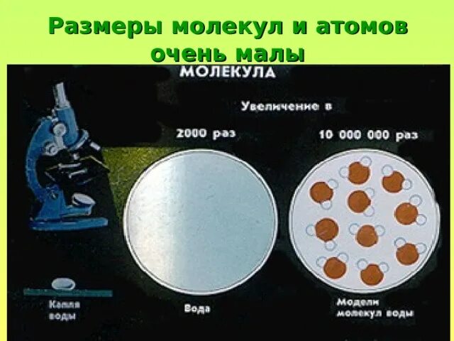 Размер молекулы. Сравнение размеров молекул. Сравнительные Размеры молекул. Размеры атомов и молекул. Атом сравнение размеров