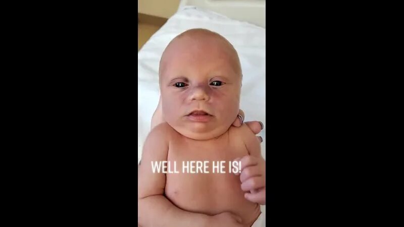 родились гибриды