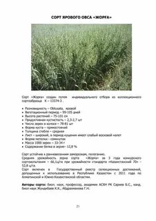 Характеристика сорта овса