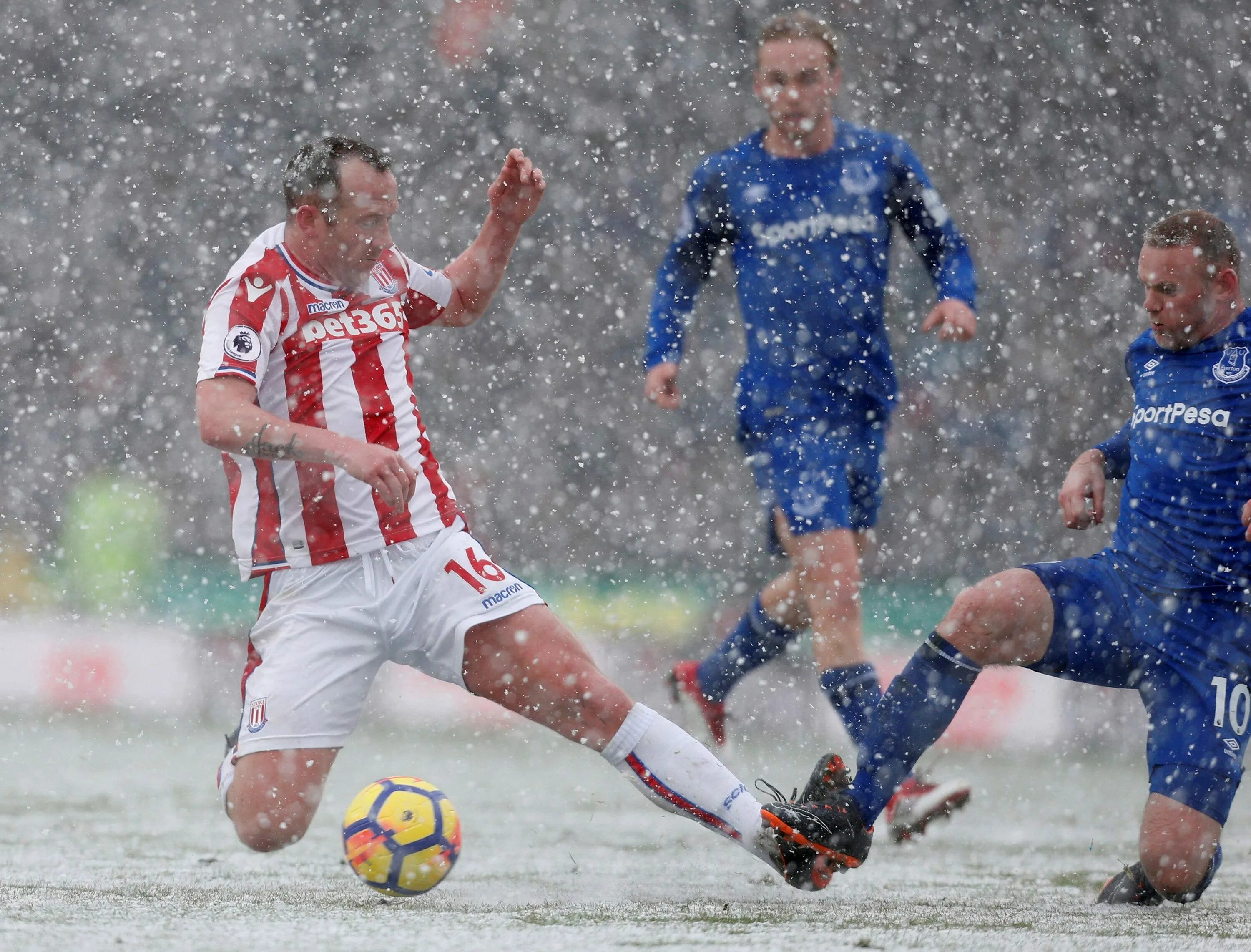 Charlie adam. Charlie adam