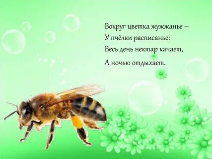 Жужжание