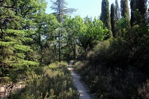 Форосский парк отзывы