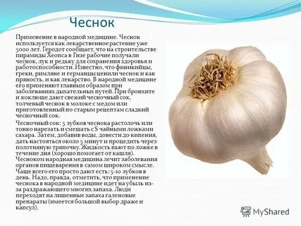Чеснок чем полезен для организма мужчина