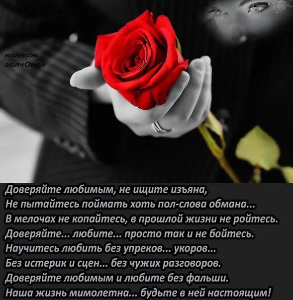 Имейте смелость довериться любви снова и снова. Стихи про любовь и доверие. Верь мне стихи. Доверьтесь любви снова. Доверяй мне стихи.