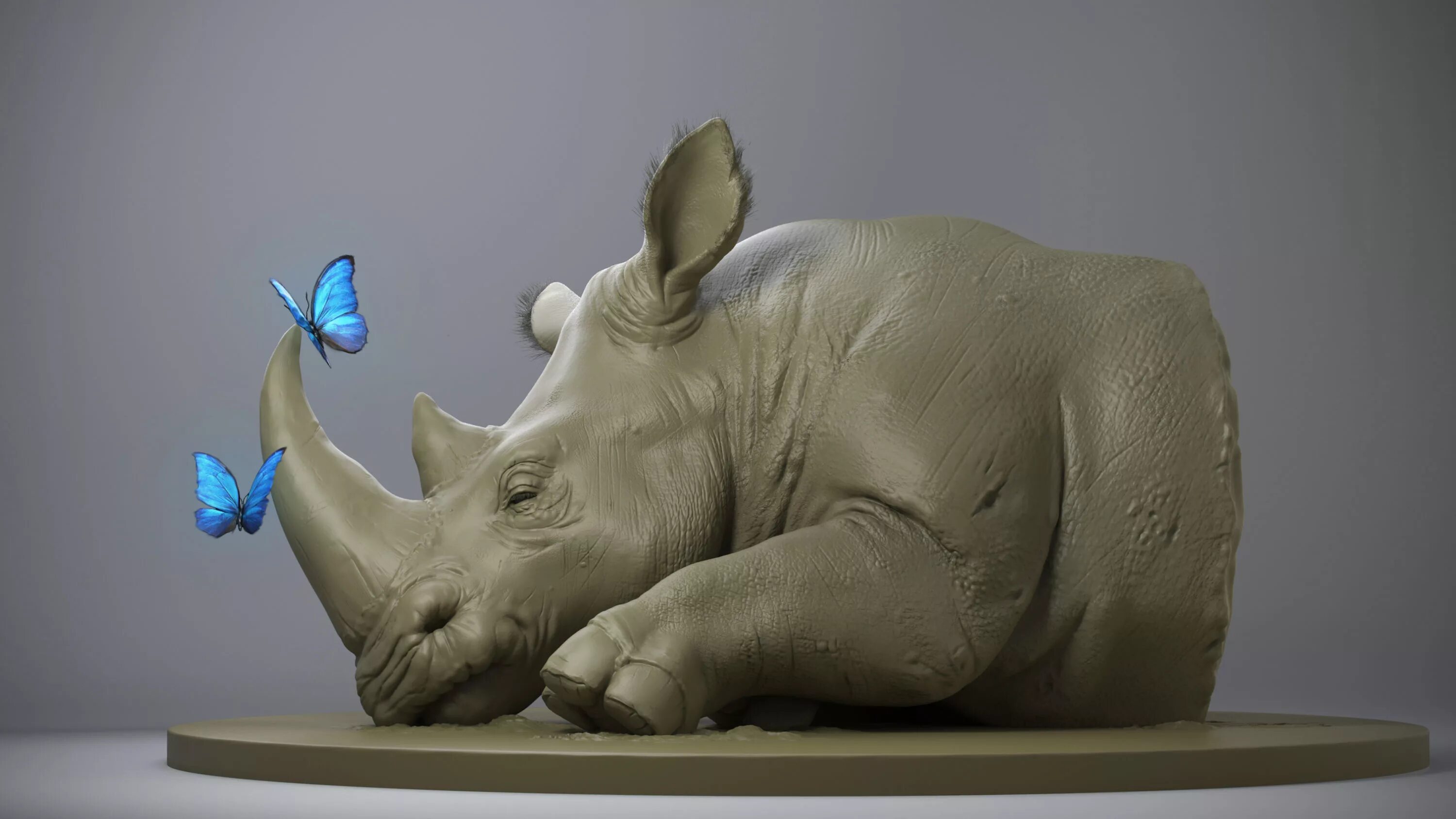 африканский белый носорог. носорог для детей. однорогий носорог непала. индийский и яванский носорог. носорог 3 1.