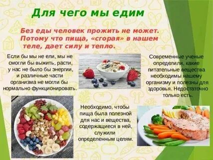 Сколько можно выжить без еды