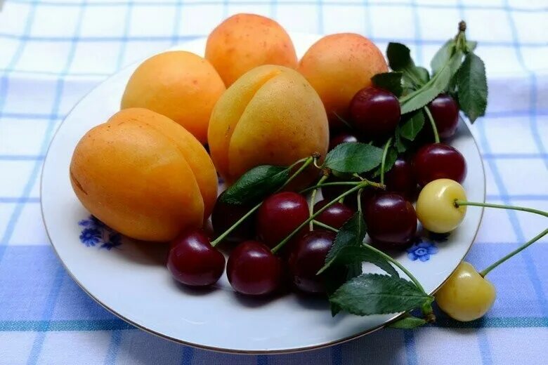 Абрикосы черешня клубника нектарин. Вишня абрикосы персик слива. Косточковые плоды вишня. Черешня земляника абрикос. Персик абрикос слива виноград.