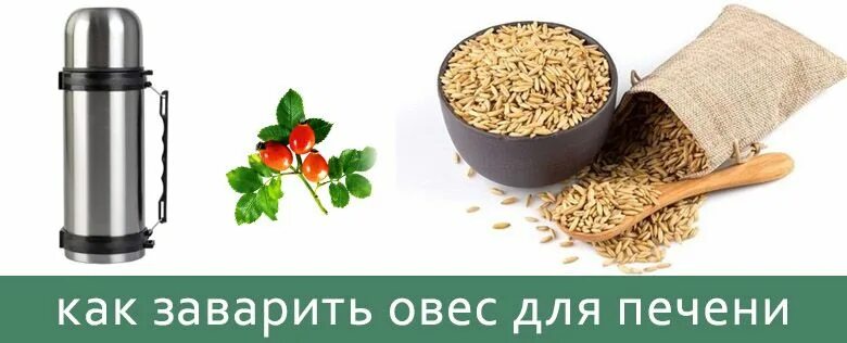 Как заварить овес в термосе для печени. Овёс для печени. Овёс для печени как заваривать. Овёс для очищения печени. Овёс для заваривания для печени.