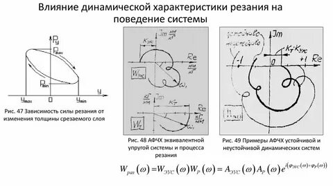 Динамическая характеристика человека