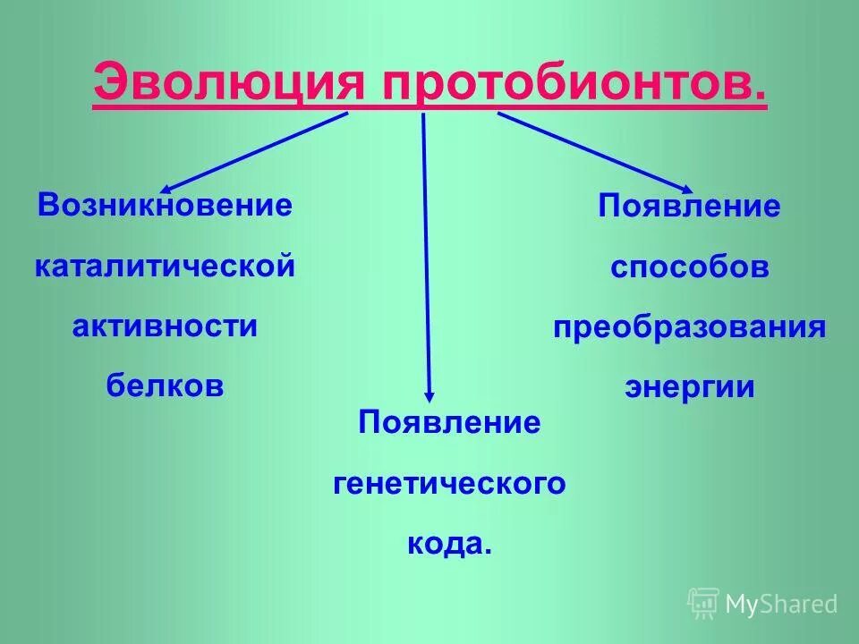 В результате чего возникают новые организмы. В результате чего возникают новые организмы. Результат конвергенции. Животные в биосфере. В результате чего возникают новые организмы.