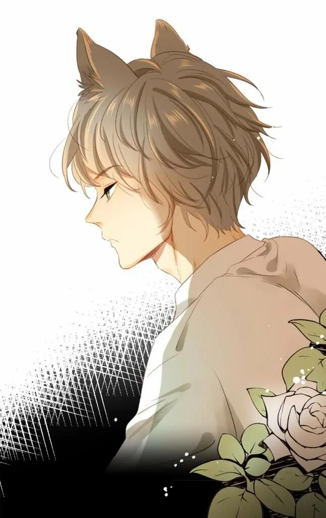 Мир управляемый котами джулиус. Мир управляемыми котами. Мир управляемыми котами. Мир управляемый котами шипы. Мир управляемый котами аннора без цезаря.