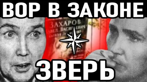 Сама вася