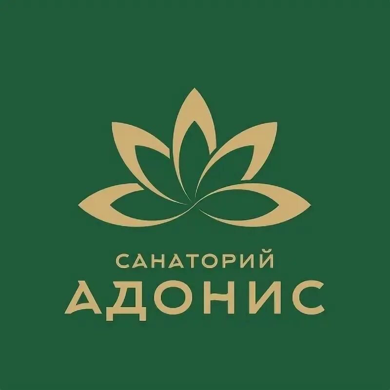 Адонис череповец сайт