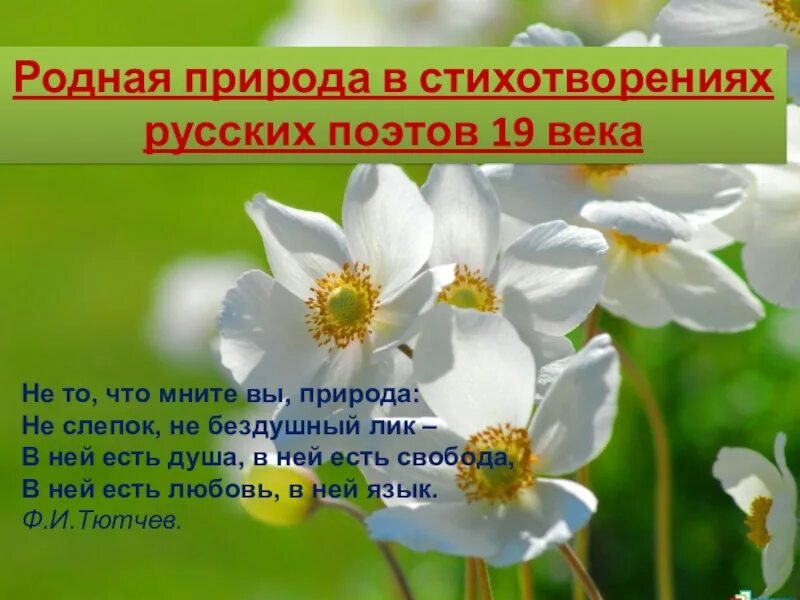 Природа поэзии 19 века. Родная природа в стихотворениях русских. Стихотворение о родной природе. Стихи о родной природе русских поэтов. Родная природа в стихотворениях русских поэтов.