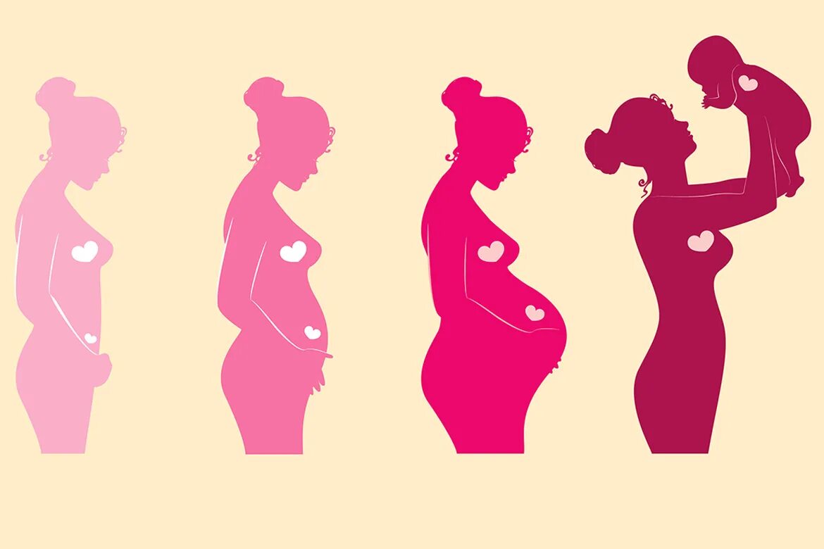 9 месяц беременности роды. Беременность рисунок. Рисунок беременной женщины.