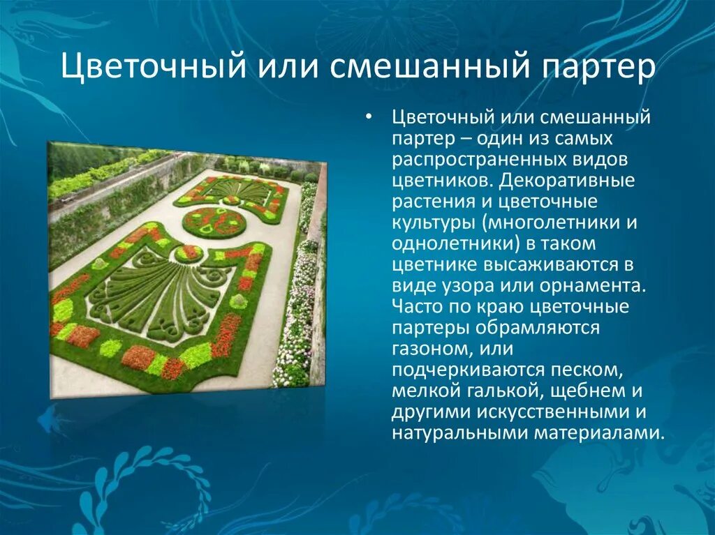 Партер лица. Партер лица
