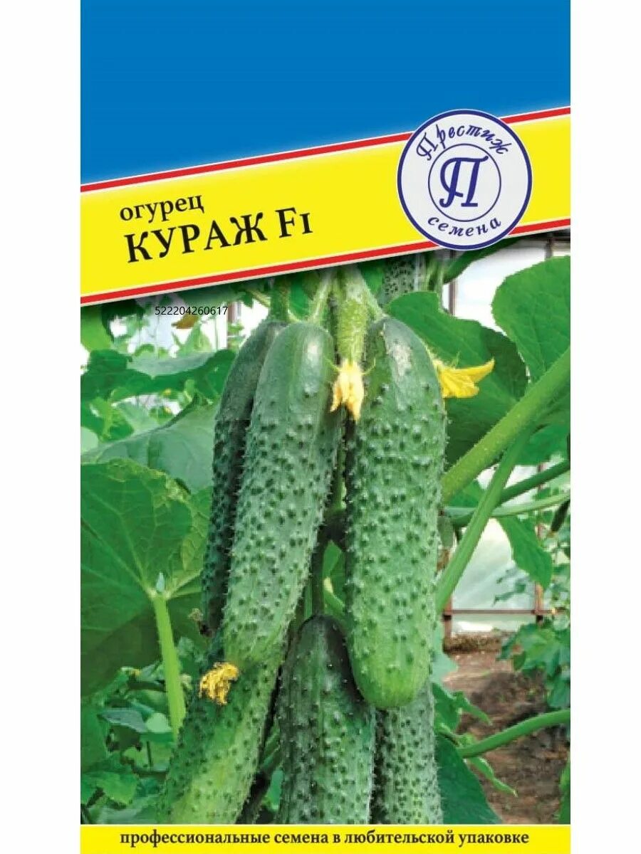 Характеристика огурцов сорта кураж. Семена огурец кураж f1. семена. огурец партенокарпический &quot;кураж f1&quot; (10 штук). огурец кураж f1 10 шт.. гавриш огурец кураж f1.