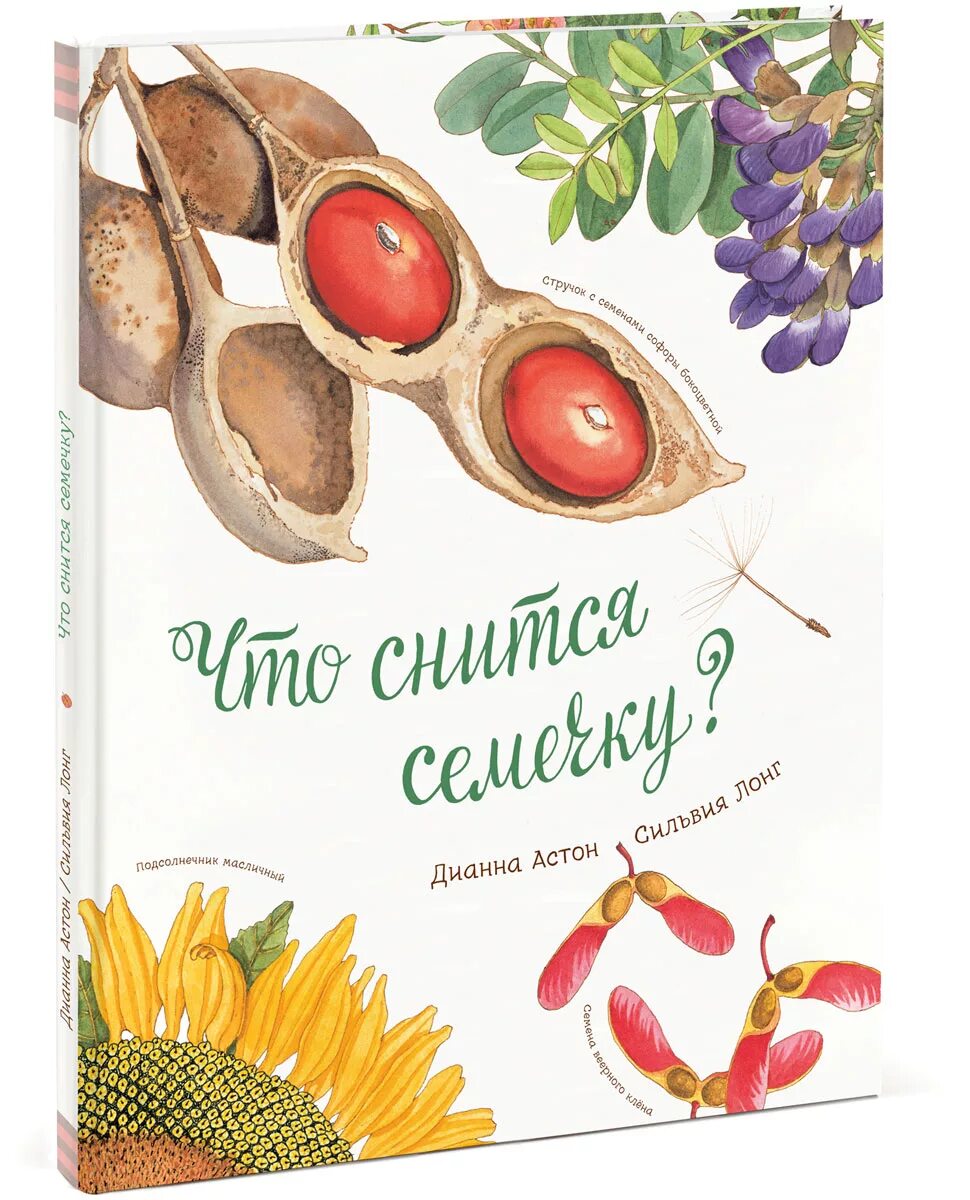 К чему снятся семена цветов. Цветы рассада. К чему снятся семена цветов. К чему снятся семена. Семена для сна.