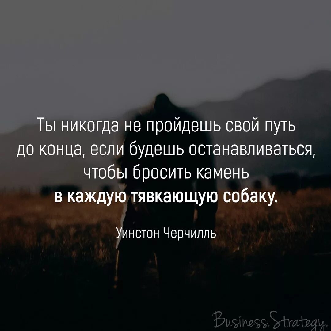 Вправо принимаем останавливаемся. Правильные мысли цитаты. Афоризмы про камни. Чтобы бросить камень в каждую тявкающую собаку. Бросать камень в каждую лающую собаку.