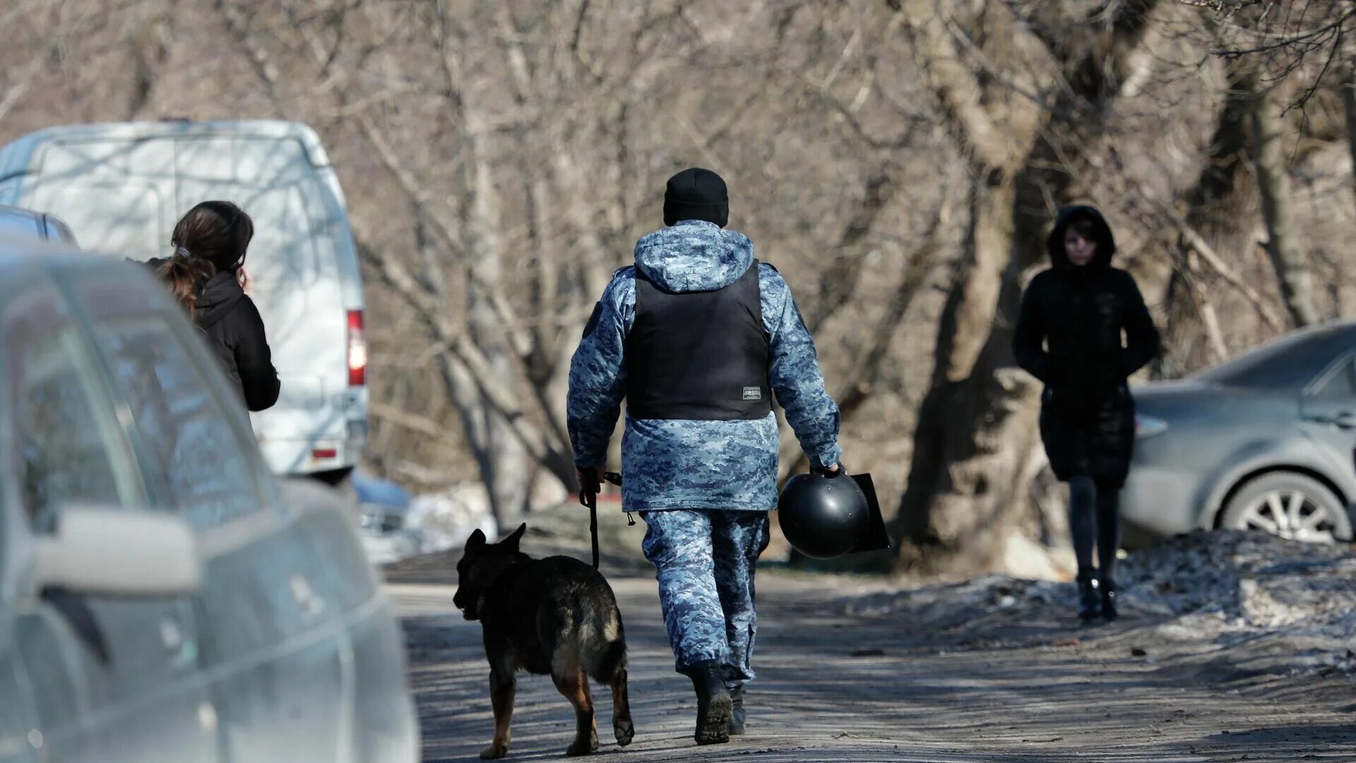 24.02.2022 Белгородская область. Стрельба в Белгородской области. Ситуация в Белгороде. Кинологи Путина. Попытка прорыва в белгородской области сегодня