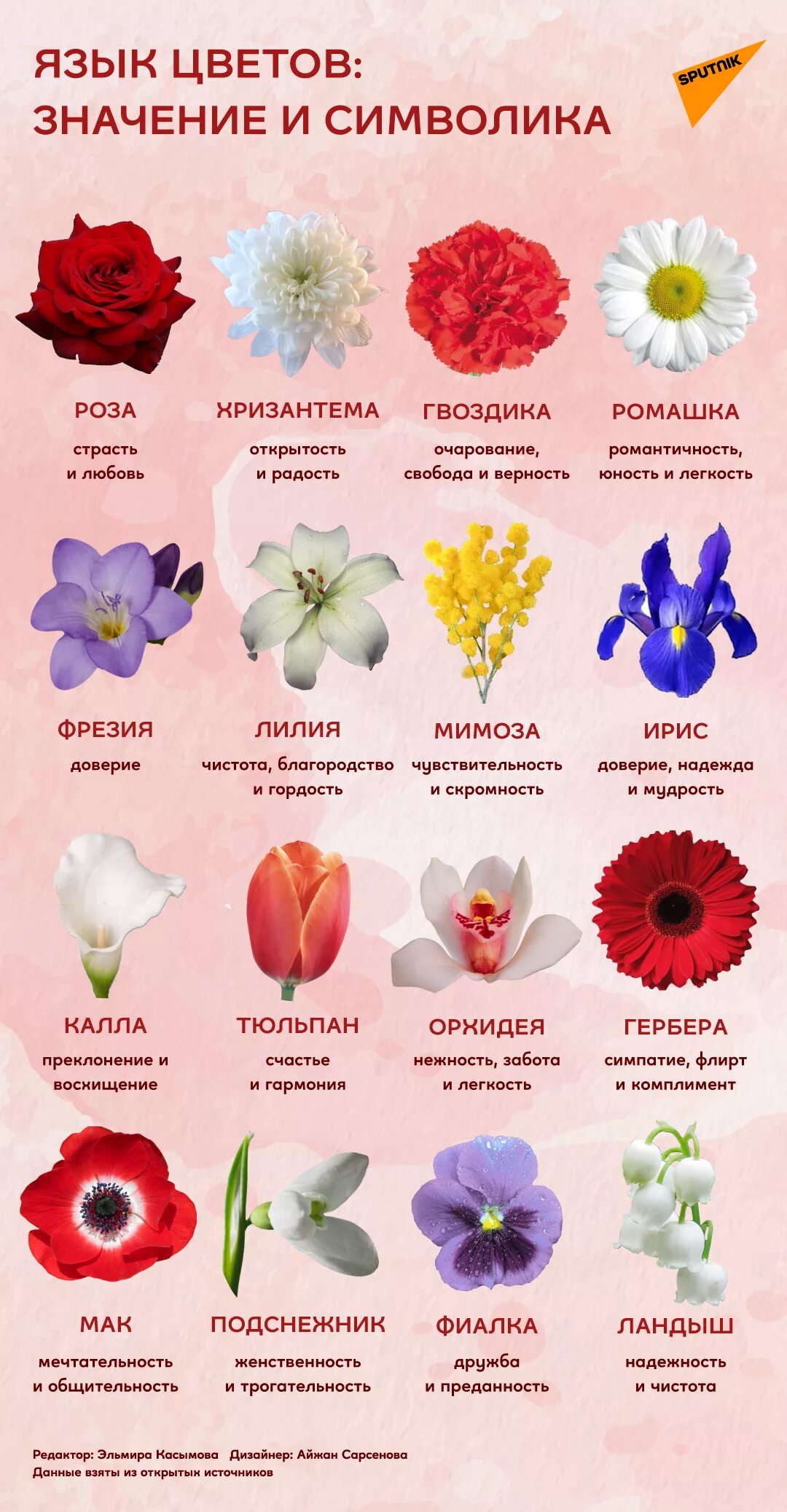Цвети значение слова. Язык цветов. Обозначение цветов цветов. Цветы названия. Цветы и их значение.