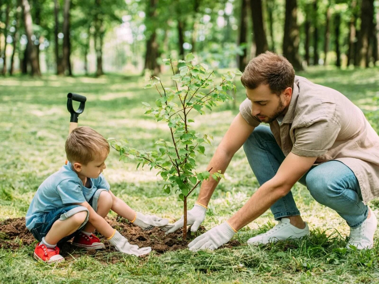 Знакомство детей с природой. Посадка деревьев. Люди сажают деревья. Дети сажают деревья. Дети и природа.
