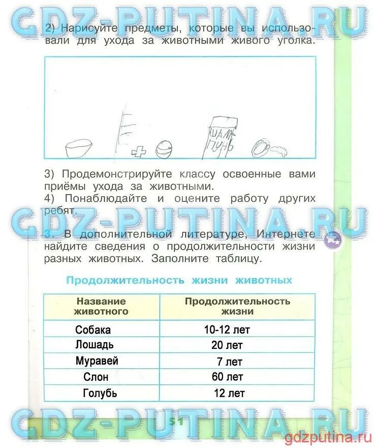 Окружающий мир рабочая тетрадь стр 49. Продолжительность жизни животных окружающий мир 1 класс рабочая. Продолжительность жизни животных 1 класс окружающий мир Плешаков. Сколько живут животные окружающий мир 1 класс. Продолжительность жизни окружающий мир 1 класс.