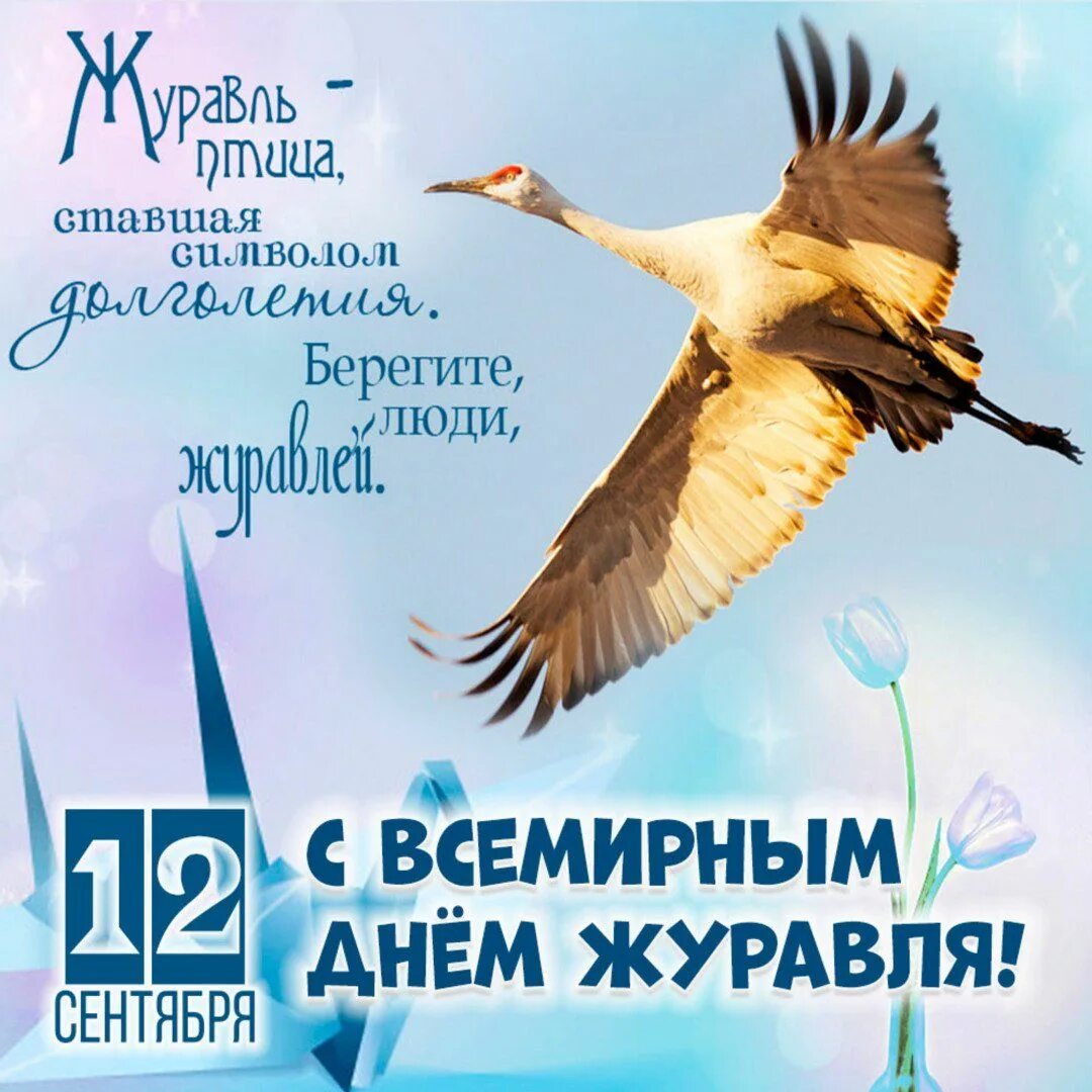 Журавли 10age. Встретить журавля на дороге приметы. Журавли 10age. Праздник белых журавлей презентация. Текс печни дуравли.