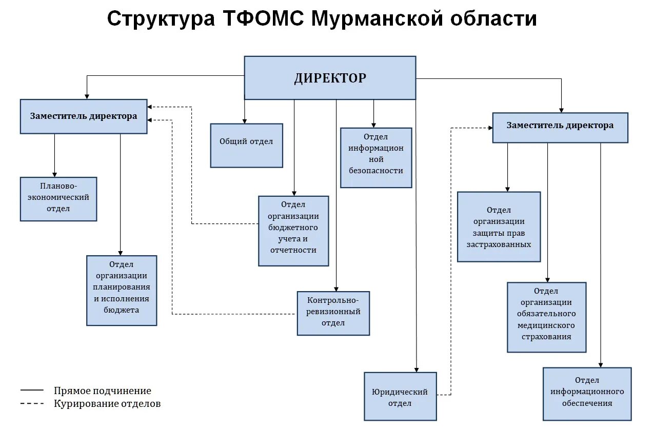 тфомс республики алтай. территориальный фонд омс костромской области. тфомс ск. тфомс владимирской области. костромской тфомс.