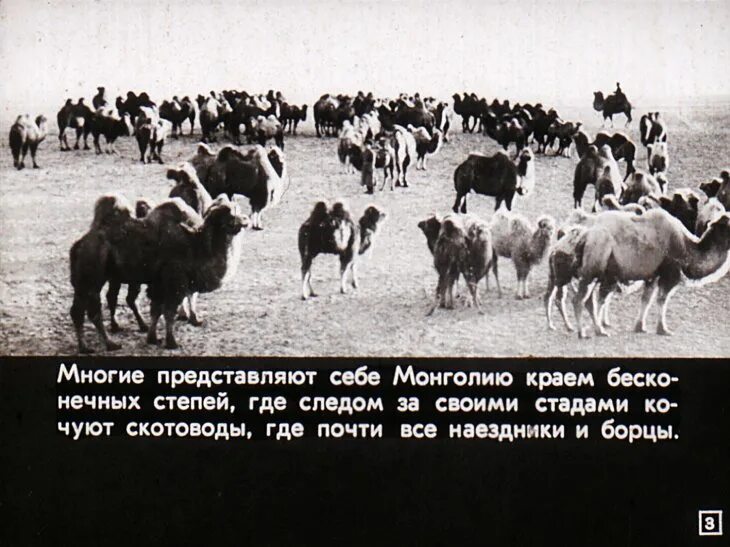 Скотовод в монголии букв. Исторические земли Монголии. Монголия грунты. Сердце земли Монголии. Дети монгольских скотоводов стоят все по росту.