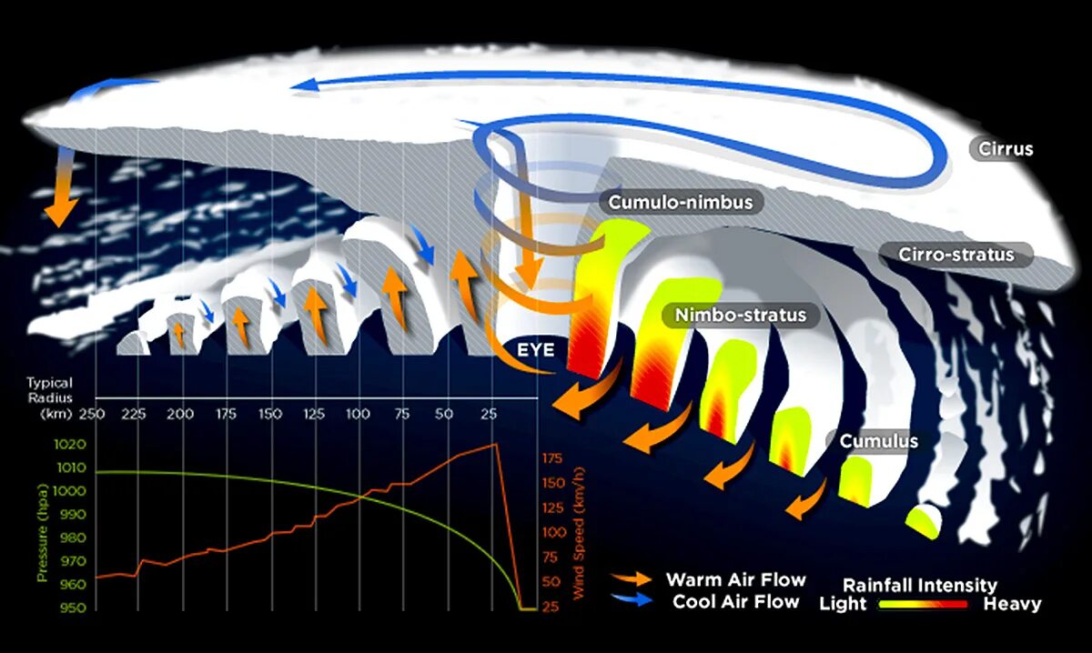 Структура тропического циклона. Формирование тропических циклонов. Тропический циклон схема. Строение циклона.