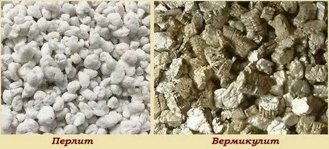 Вермикулит и вермикулит в чем разница