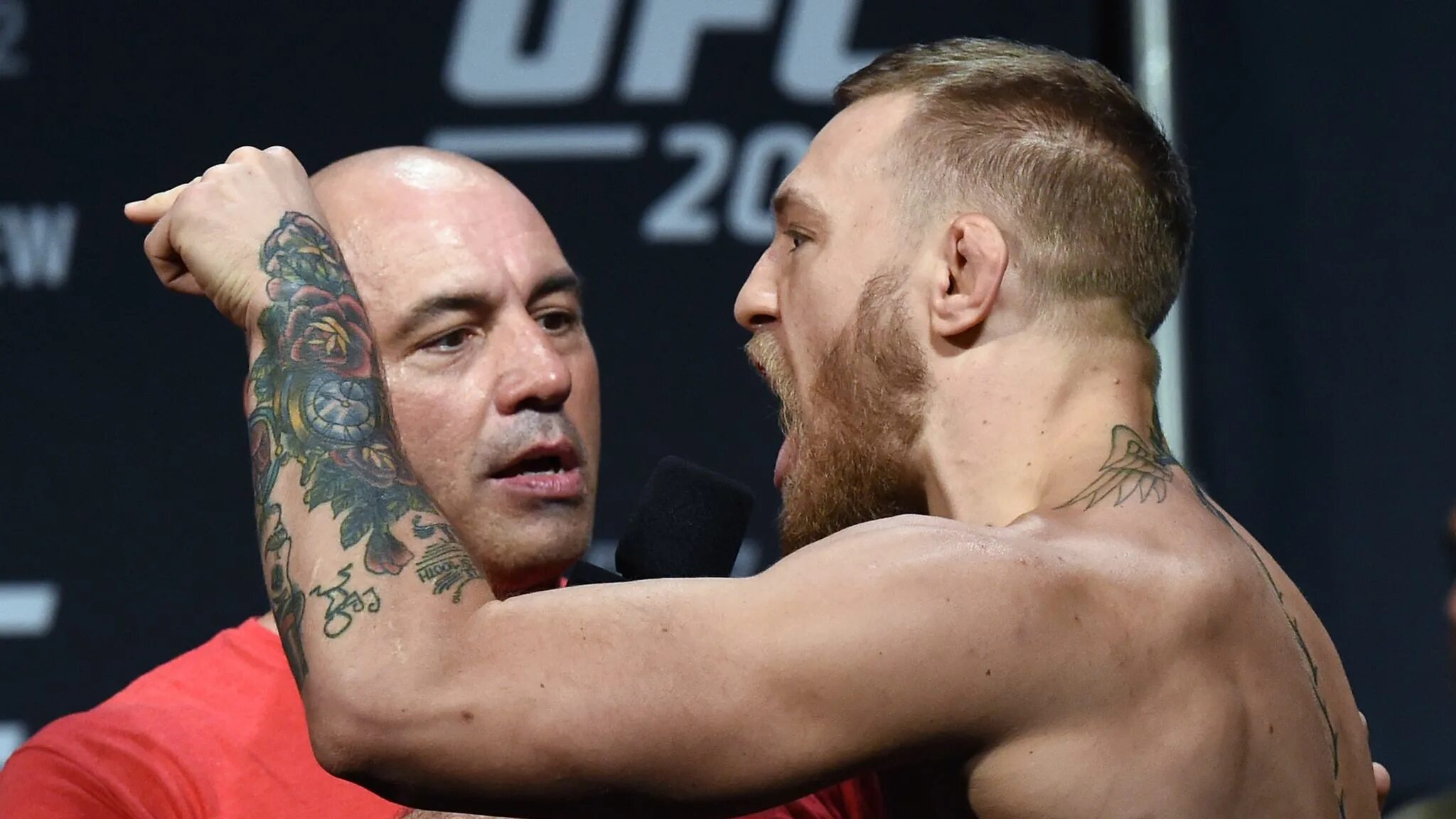 Комментатор ufc
