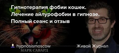 Как называется страх кошек