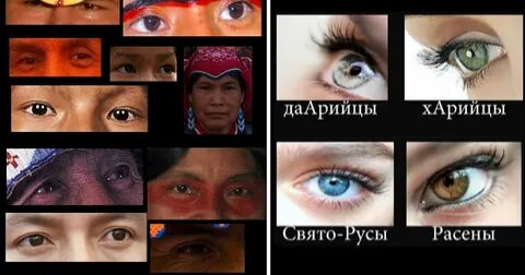 Цвет глаз арийцев
