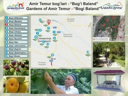 Выжить в самарканде спонсоры
