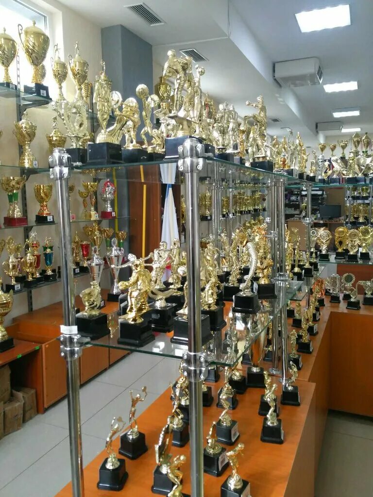 Власти Калининграда в 2017 году передавали имущество "БалтАвтоЛайну" Сергея Донс