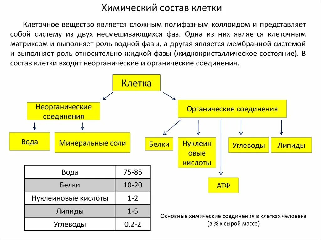 Химические соединения биология