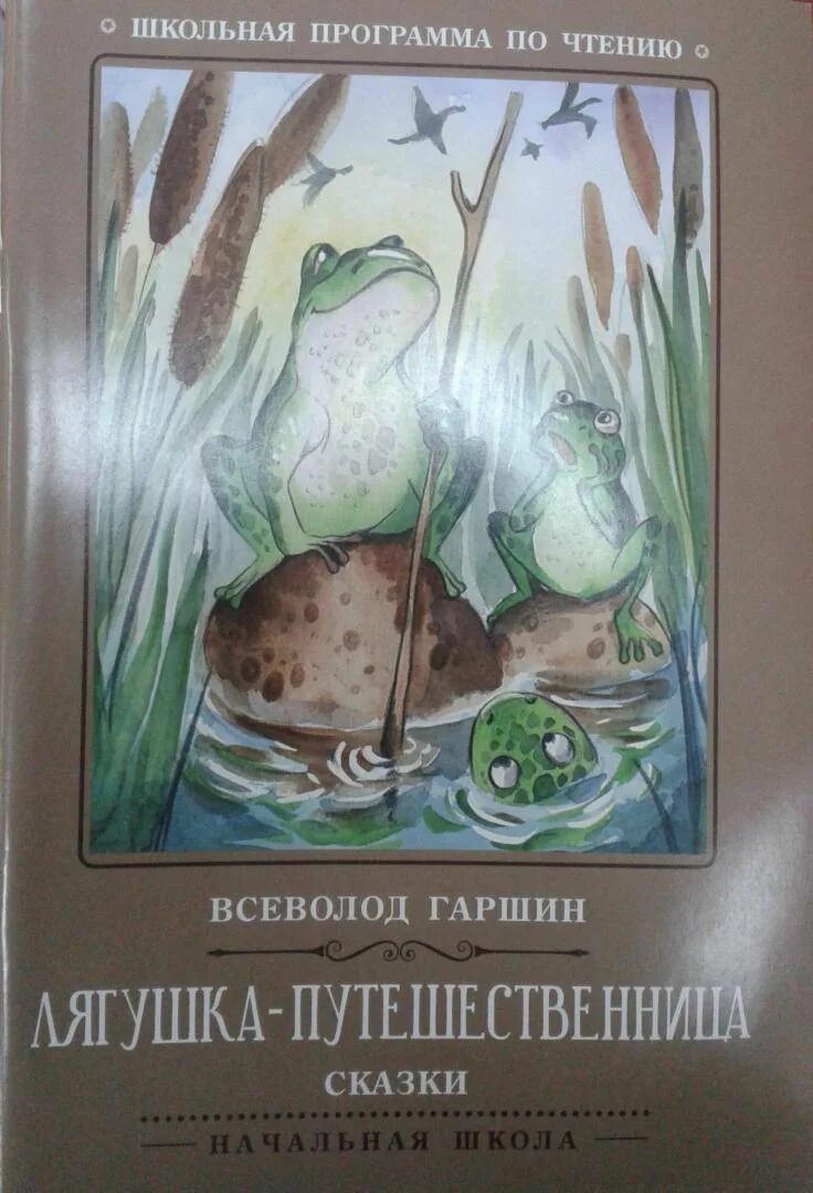 Гаршин сказки читать. Гаршин всеволод михайлович сказки. путешественница всеволод гаршин иллюстрация. всеволод гаршин книги. гаршин книги для детей.