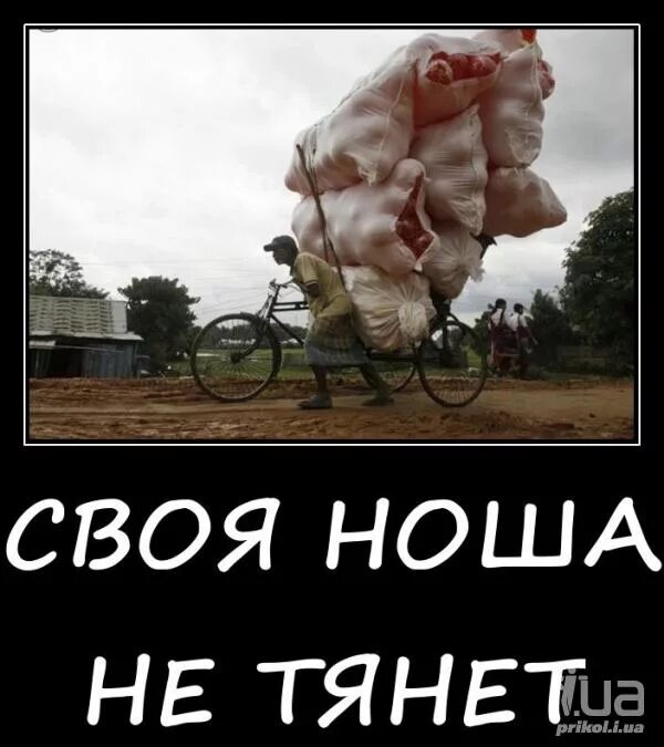 Выражение своя ноша не тянет. Своя ноша не тянет. своя ноша не тянет прикол. своя ноша не тянет пословица. своя ноша не тянет рисунки.