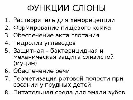 Основные функции рту