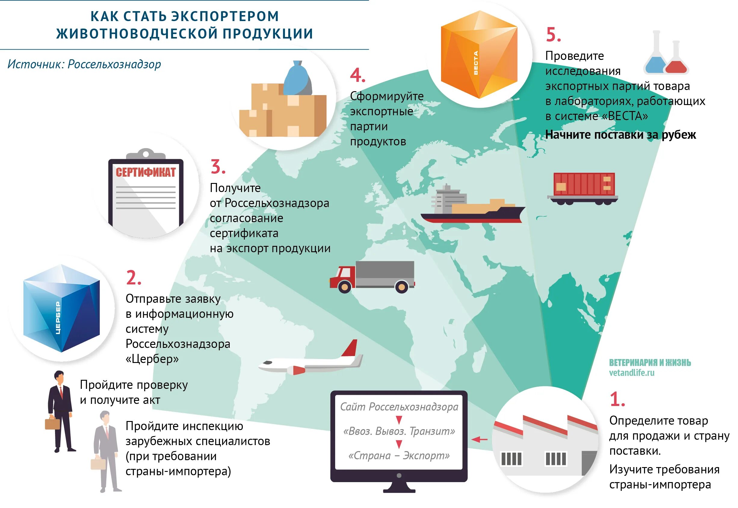 Экспорт импорт товаров. Схема импорта товаров в Россию. Экспорт животноводческой продукции. Экспорт продуктов. Product export