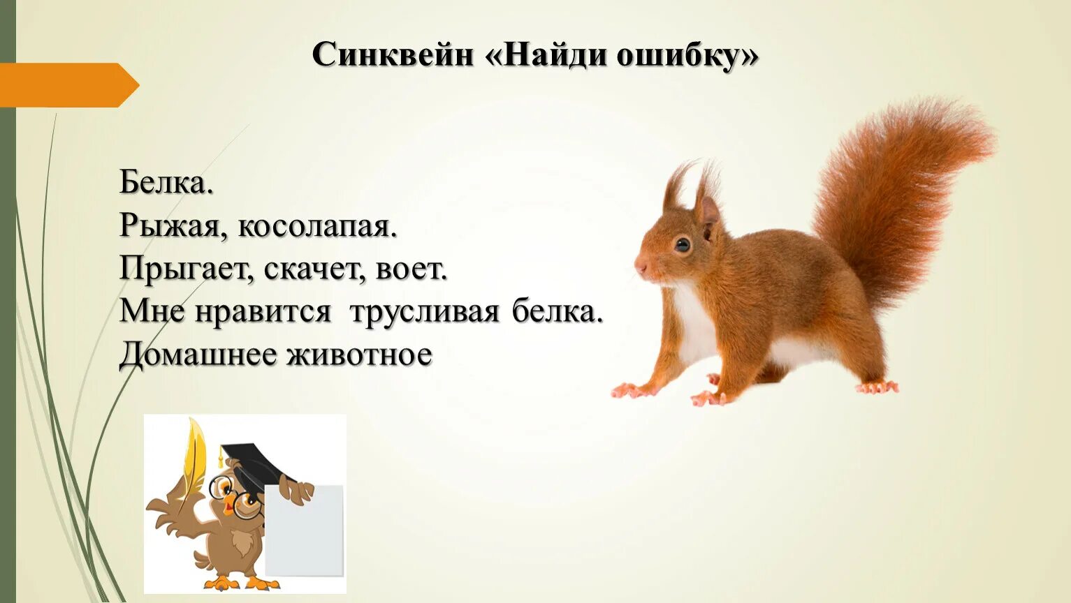 Синквейн о животных. Синквейн белка. синквейн белки. синквейн животные. синквейн на тему животные.