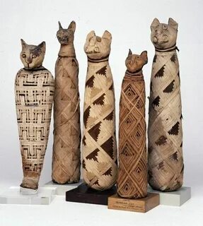 Кот мумия
