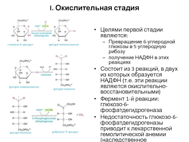 Окислительно восстановительные ферменты. Рибоза реакции. Рибоза получение реакция. Окисление рибозы реакция. Качественная реакция на рибозу.