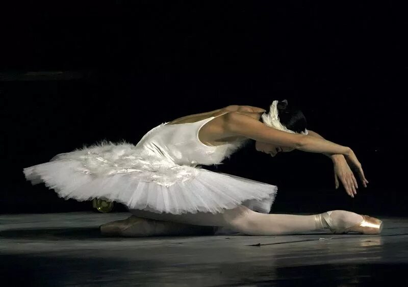 Лучший умирающий лебедь. Лучший умирающий лебедь. Балет ирма ниорадзе. Майя плисецкая лебединое озеро. Балет лебединое озеро смерть лебедя.