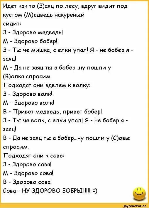 Анекдоты. Анекдот. Анекдот про зайца и волка. Анекдот про зайца и медведя. Анекдот лиса волка