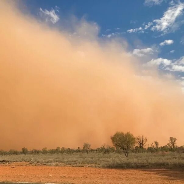 Самум Песчаная буря. Самум пустыня Дубай. Самум в Австралии. Песчаная буря в Дубае.