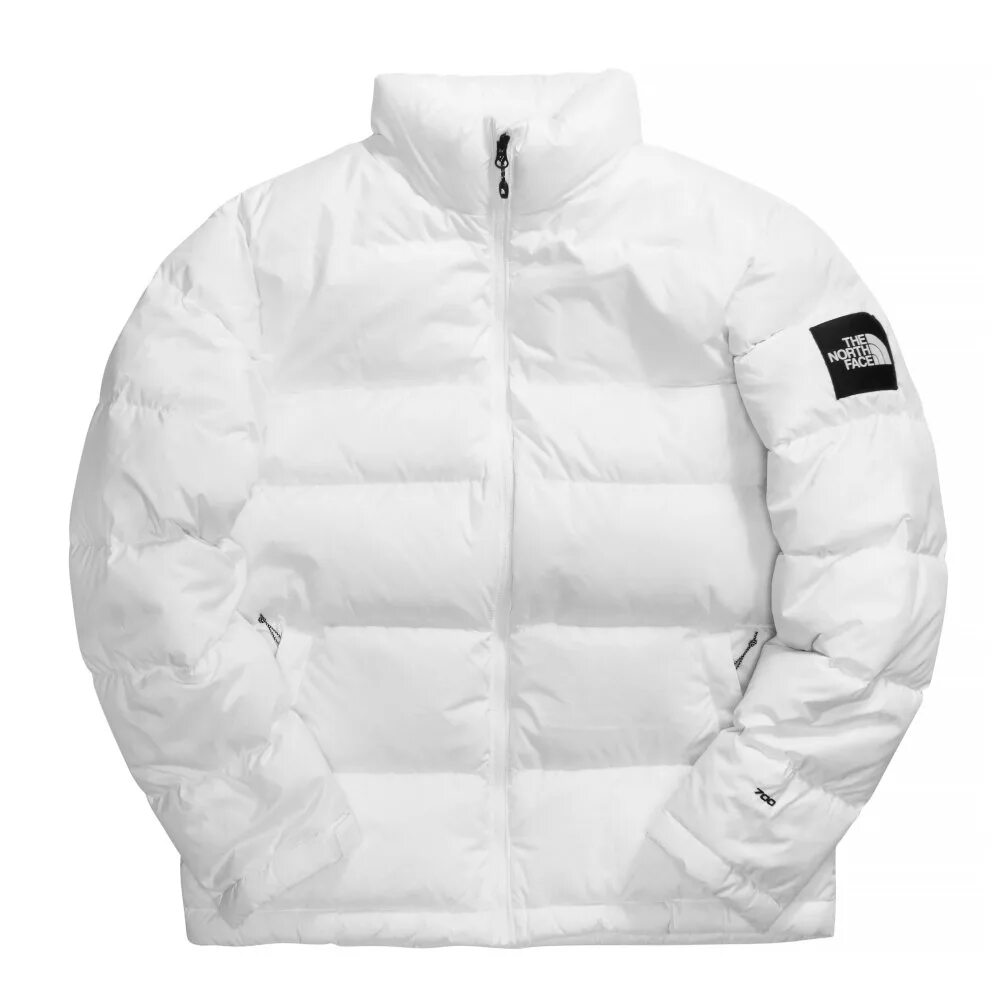 Tnf d